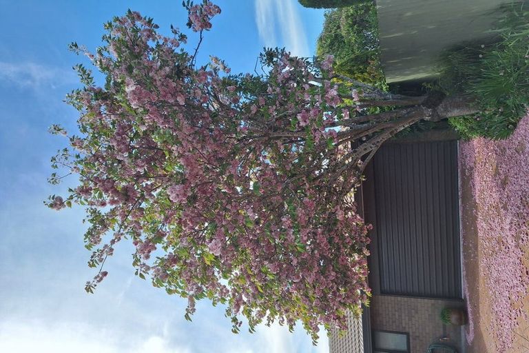 Photo of property in 44 Fairweather Crescent, Kaiapoi, 7630