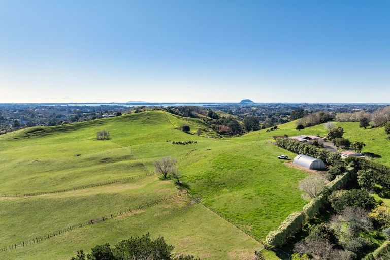 Photo of property in 164c Crawford Road, Wairoa, Tauranga, 3171