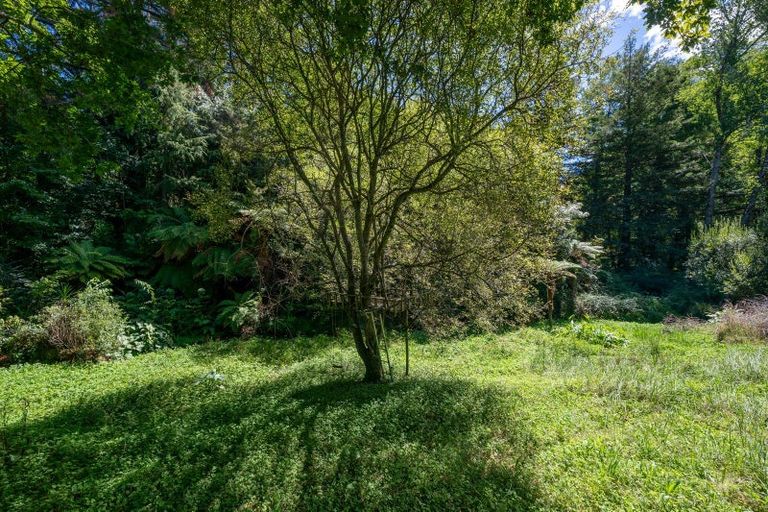Photo of property in 42 Icarus Place, Sunnybrook, Rotorua, 3015