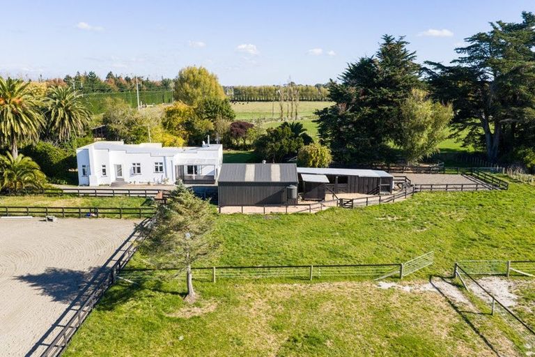 Photo of property in 292 Kairanga Bunnythorpe Road, Bunnythorpe, Palmerston North, 4478