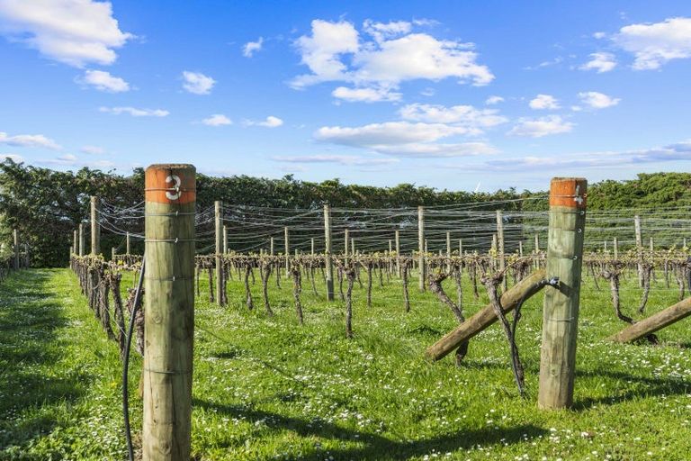 Photo of property in 190 Regent Street, Martinborough, 5711