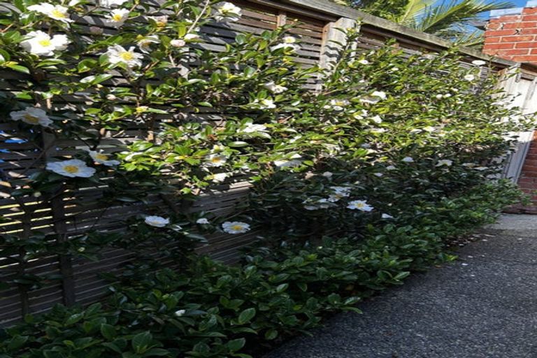 Photo of property in 21 Buchanan Street, Devonport, Auckland, 0624