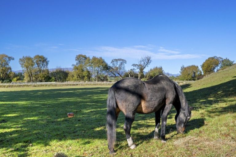 Photo of property in 276 Northbank Road, Kaituna, Blenheim, 7275