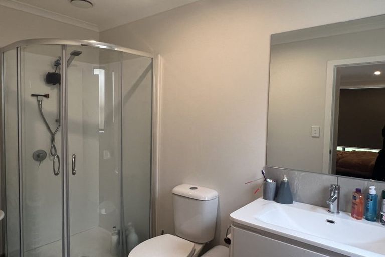 Photo of property in 45 Pragma Rise, Huntington, Hamilton, 3210