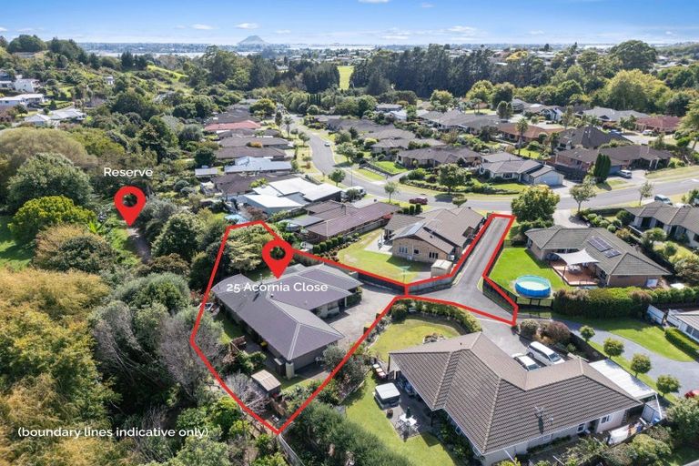 Photo of property in 25 Acornia Close, Ohauiti, Tauranga, 3112