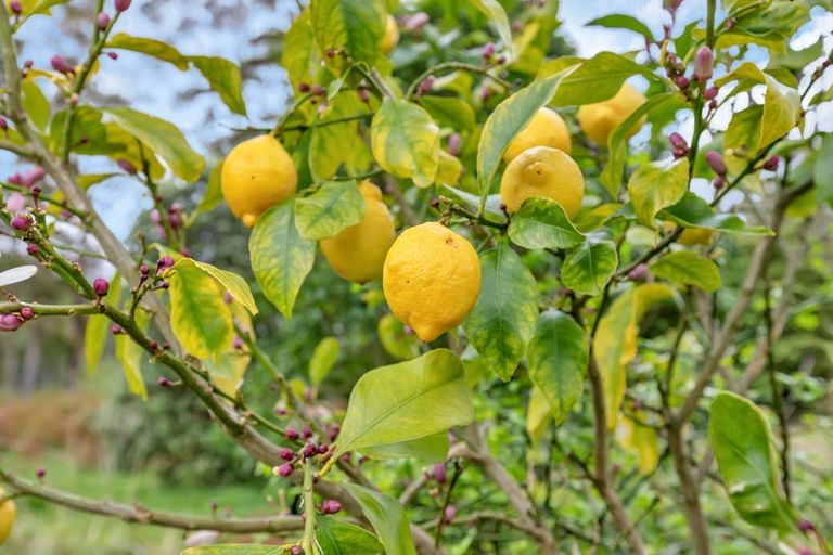 Photo of property in 37 Takitu Road, Pakotai, Whangarei, 0172