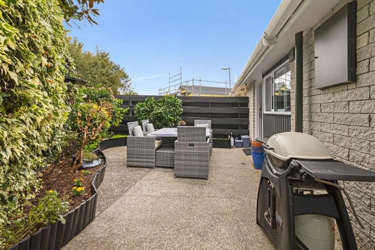 Photo of property in 11 Opawa Place, Terrace End, Palmerston North, 4410