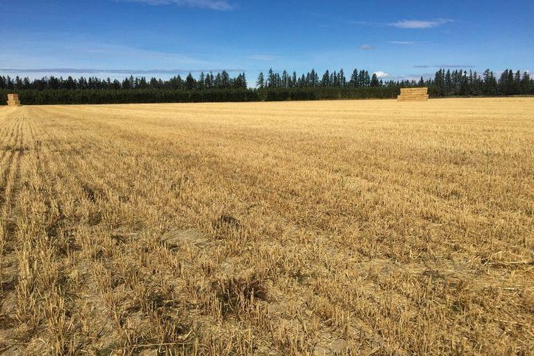 Photo of property in 80 Mount Hutt Station Road, Methven, 7782