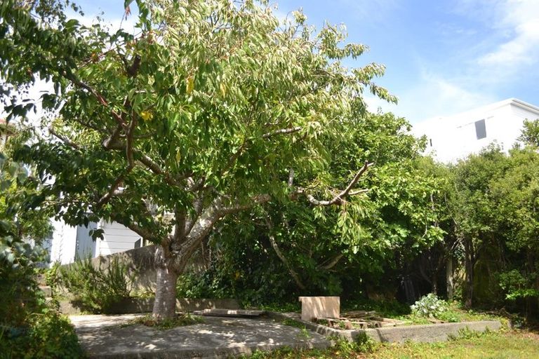 Photo of property in 30 Thompson Street, Mount Cook, Wellington, 6011