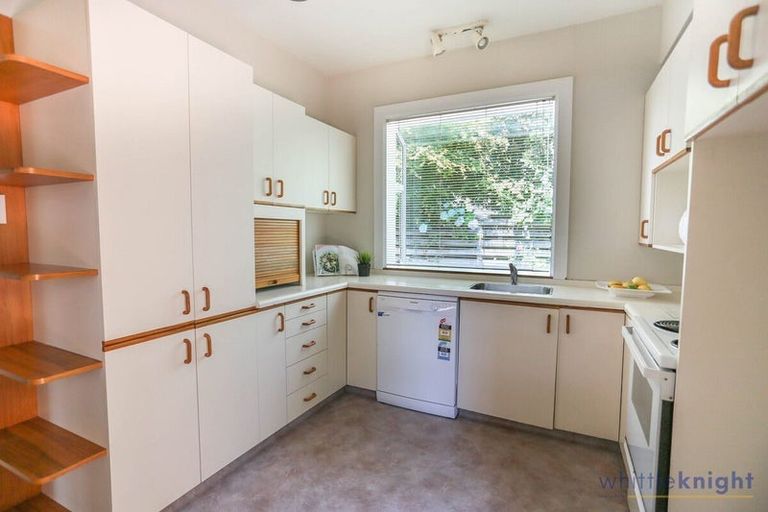 Photo of property in 48 Tui Street, Fendalton, Christchurch, 8041