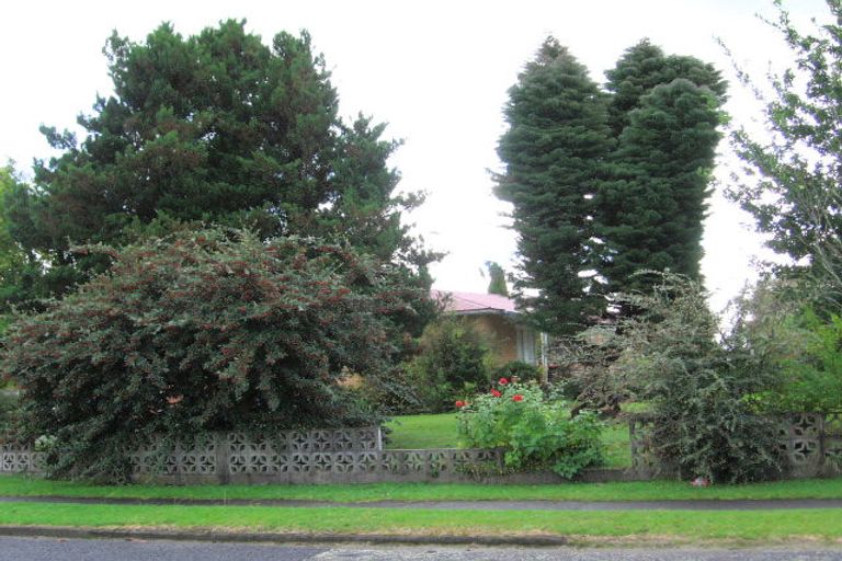 Photo of property in 20 Turner Place, Tokoroa, 3420