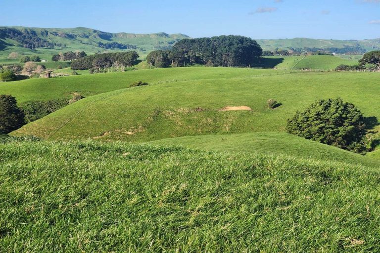Photo of property in 899 Te Akau Road, Te Akau, Ngaruawahia, 3793