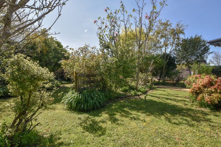 Photo of property in 14a Lincoln Road, Carterton, 5713