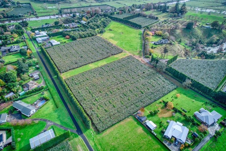 Photo of property in 36 Echo Valley Way, Tauriko, Tauranga, 3110