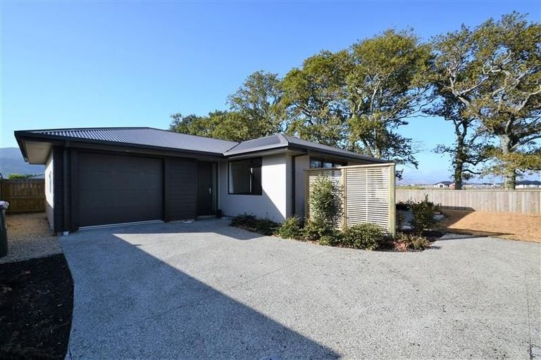 Photo of property in 59 Malone Crescent, Richmond, 7020