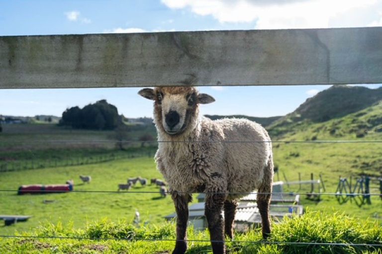 Photo of property in 1168 Oturoa Road, Hamurana, Rotorua, 3072