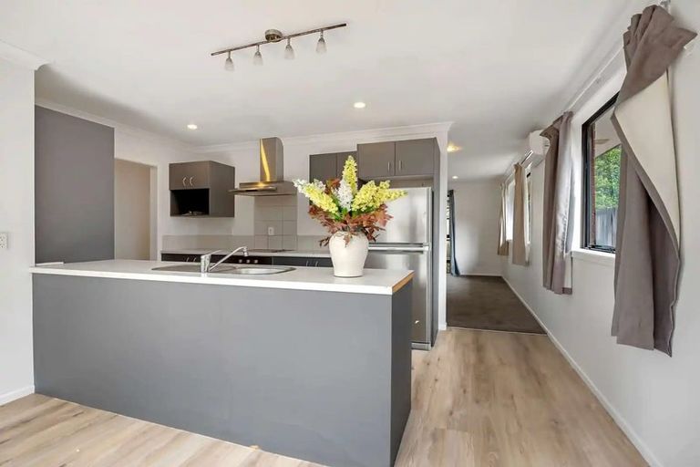 Photo of property in 215a Fox Street, Hamilton East, Hamilton, 3216