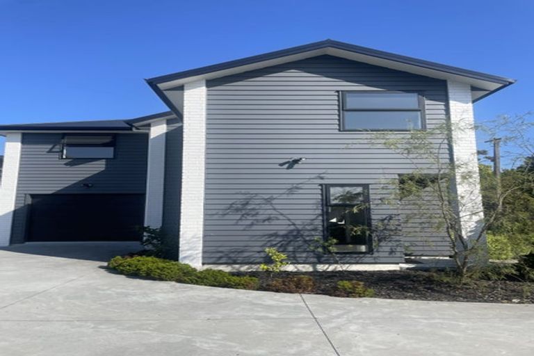 Photo of property in 1/5 Arawa Street, Frankton, Hamilton, 3204