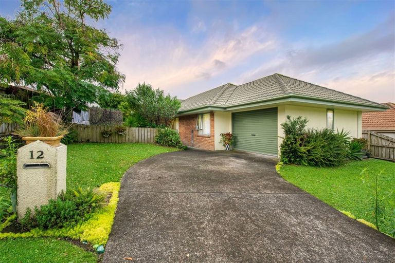 Photo of property in 12 Cretian Crescent, Henderson, Auckland, 0612