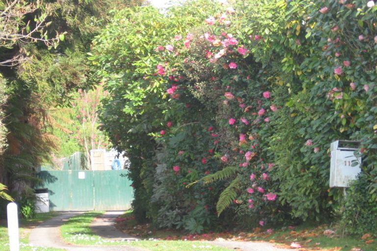 Photo of property in 11 Minerva Place, Sunnybrook, Rotorua, 3015