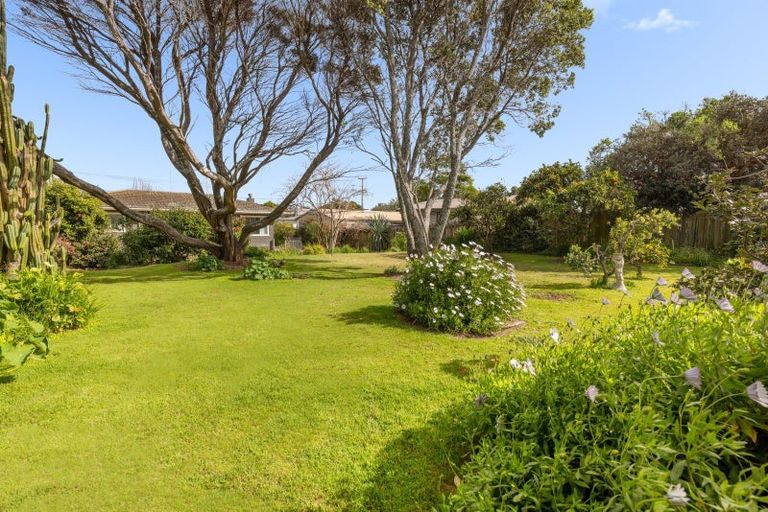 Photo of property in 13a Links Avenue, Mount Maunganui, 3116