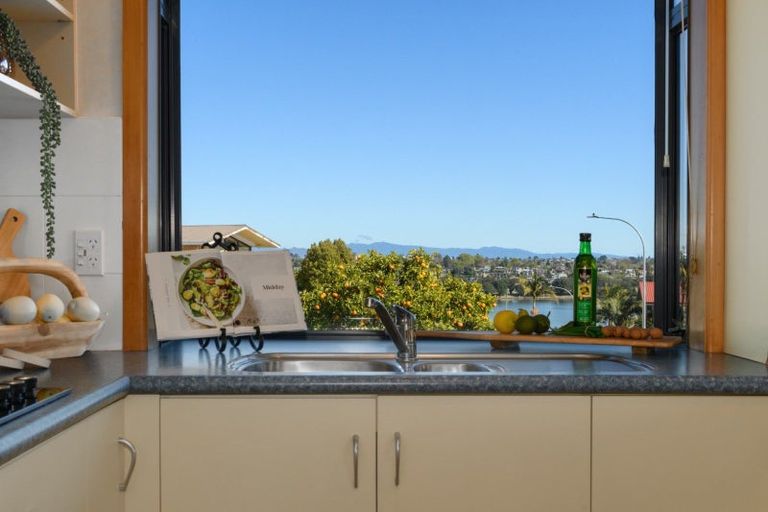 Photo of property in 19a Vine Avenue, Maungatapu, Tauranga, 3112
