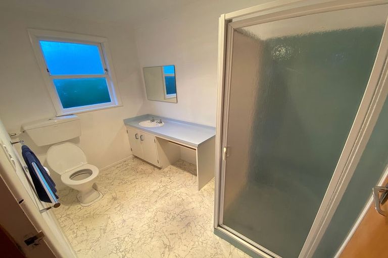 Photo of property in 109 Te Awe Awe Street, Hokowhitu, Palmerston North, 4410