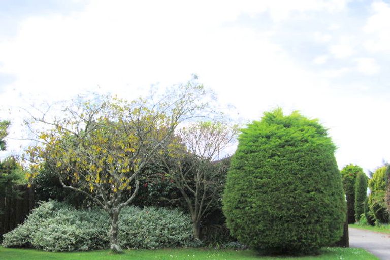 Photo of property in 48 Kokiri Street, Ngongotaha, Rotorua, 3010