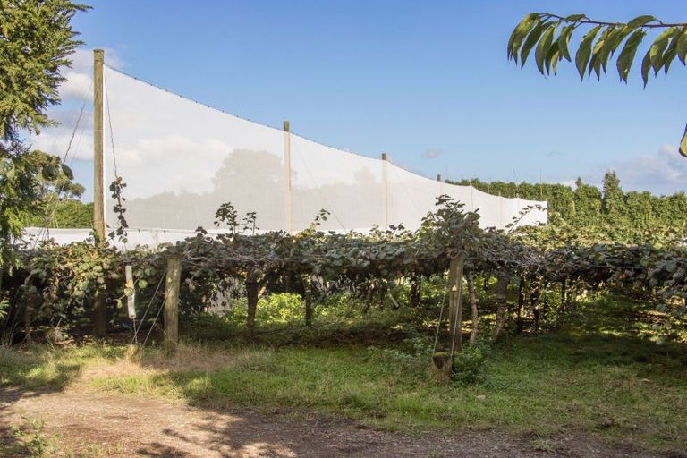Photo of property in 416 State Highway 2, Tahawai, Katikati, 3170