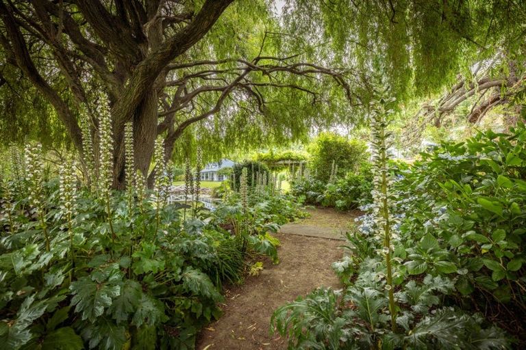 Photo of property in 14 Grasmere Way, Bethlehem, Tauranga, 3110