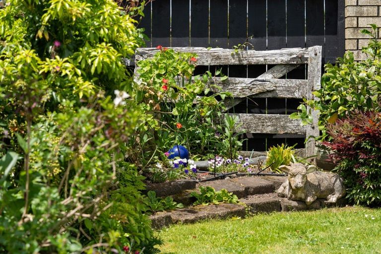 Photo of property in 125 Burns Street, Leamington, Cambridge, 3432