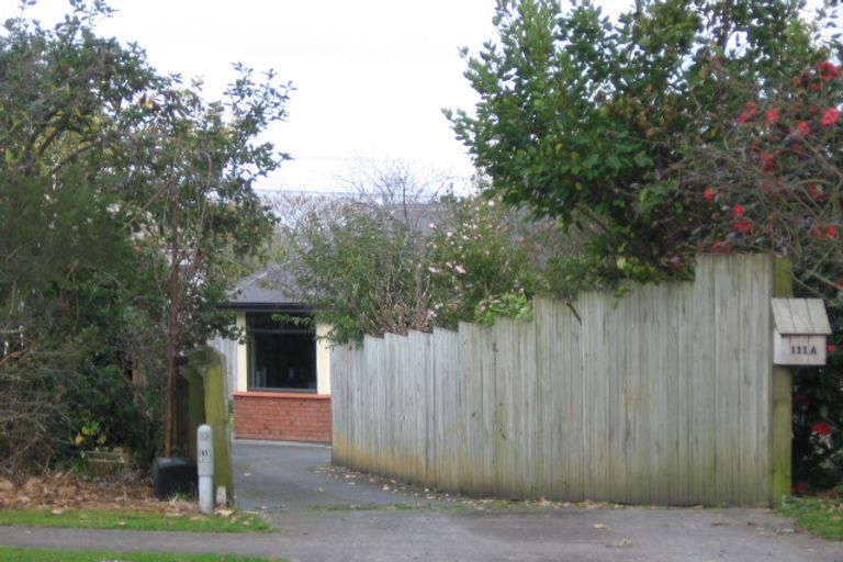 Photo of property in 111 Poaka Avenue, Dinsdale, Hamilton, 3204