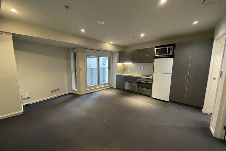 Photo of property in Soho Apartments, 519/74 Taranaki Street, Te Aro, Wellington, 6011