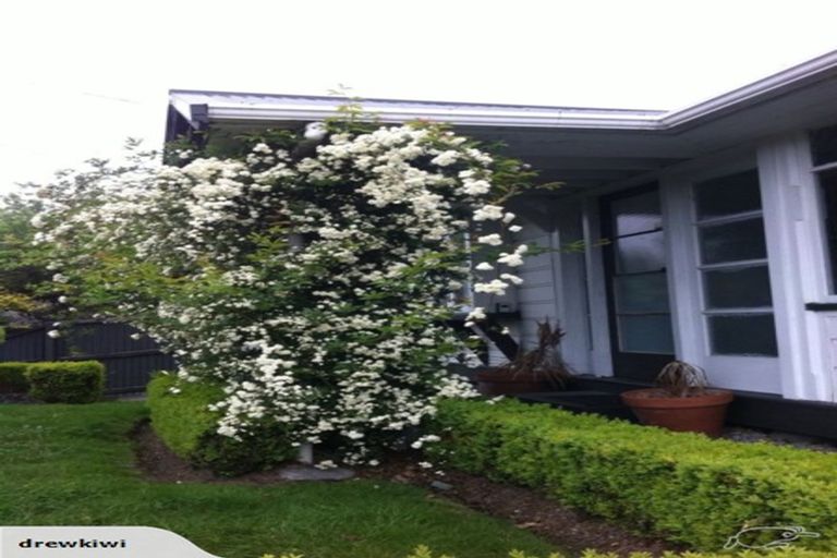 Photo of property in 29 Hanmer Street, Linwood, Christchurch, 8011