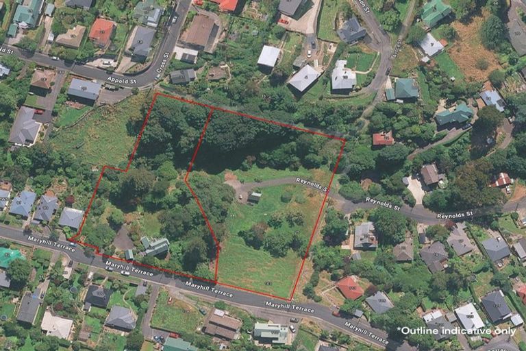 Photo of property in 101 Maryhill Terrace, Maryhill, Dunedin, 9011