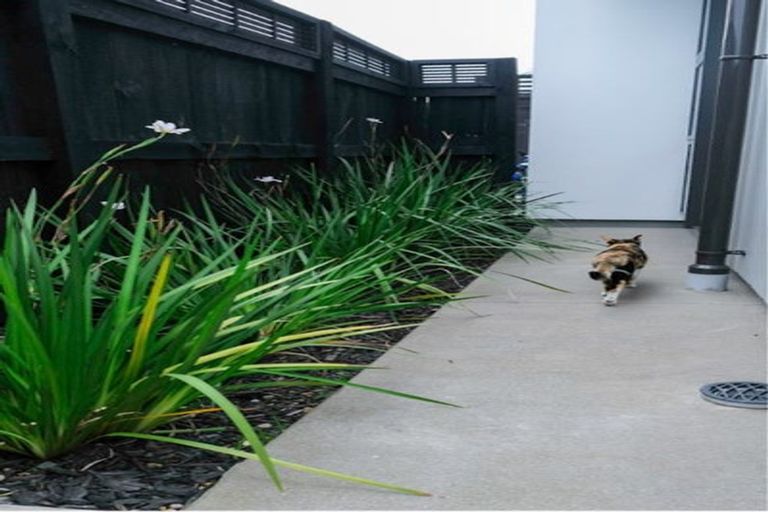 Photo of property in 10 Raranga Lane, Hobsonville, Auckland, 0616