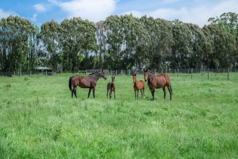 Photo of property in 816 Springs Road, Prebbleton, Christchurch, 7676