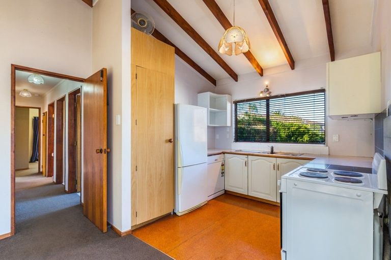Photo of property in 76 Scannell Street, Taupo, 3330