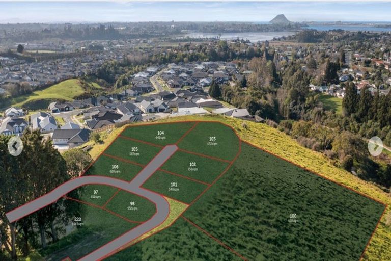 Photo of property in 79 Carmen Way, Ohauiti, 3112