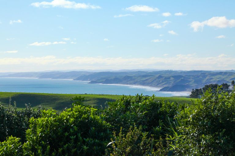 Photo of property in 668 Te Hutewai Road, Raglan, 3296