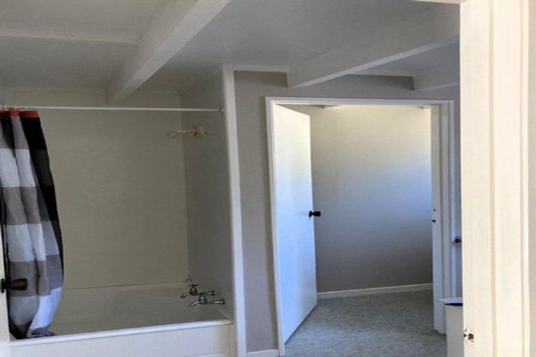 Photo of property in 50 Youngson Road, Whakamarama, Tauranga, 3180