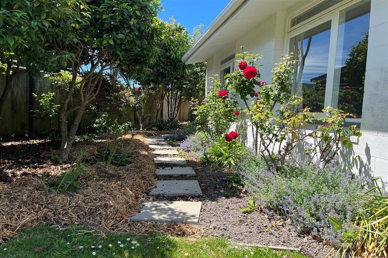 Photo of property in 29a Delph Street, Avonhead, Christchurch, 8042