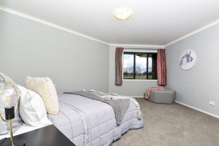 Photo of property in 17b Marshmeadow Road, Newstead, Hamilton, 3286