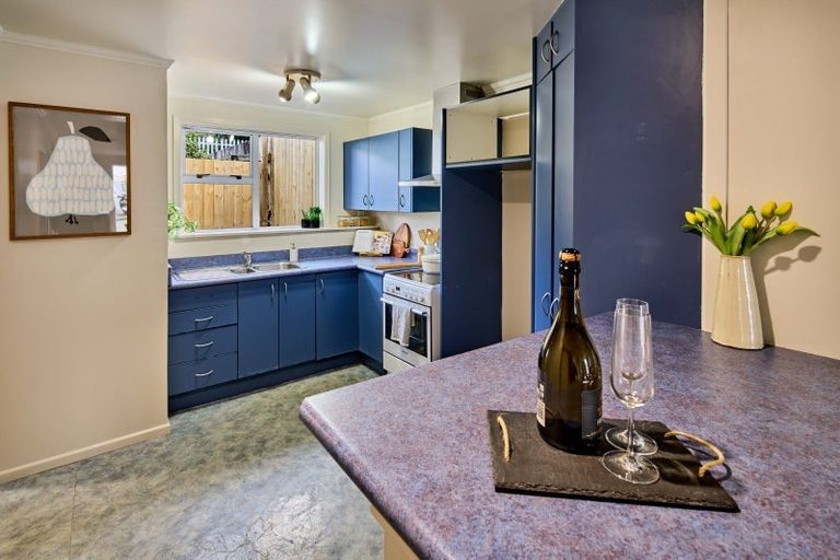 Photo of property in 1 Maurice Terrace, Te Aro, Wellington, 6011