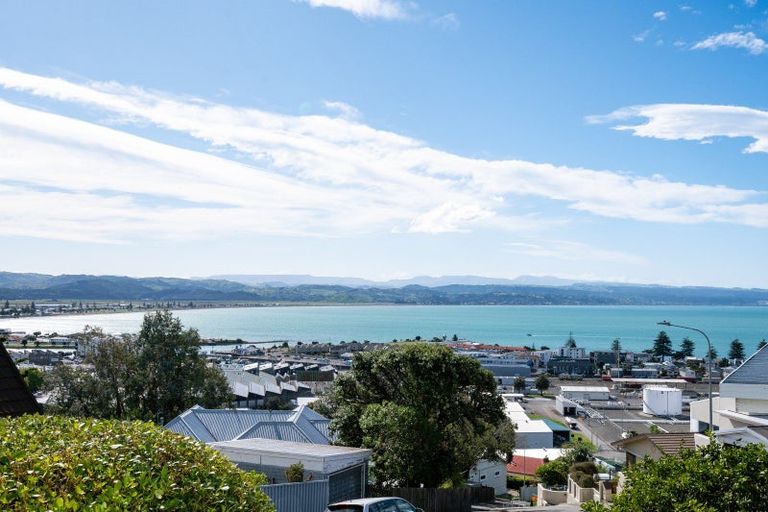 Photo of property in 119 Chaucer Road, Hospital Hill, Napier, 4110