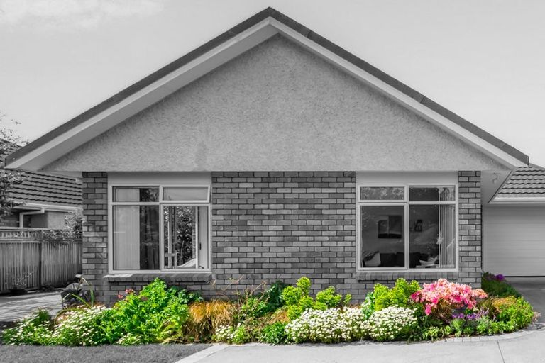 Photo of property in 1 Greenaway Road, Waikanae, 5036