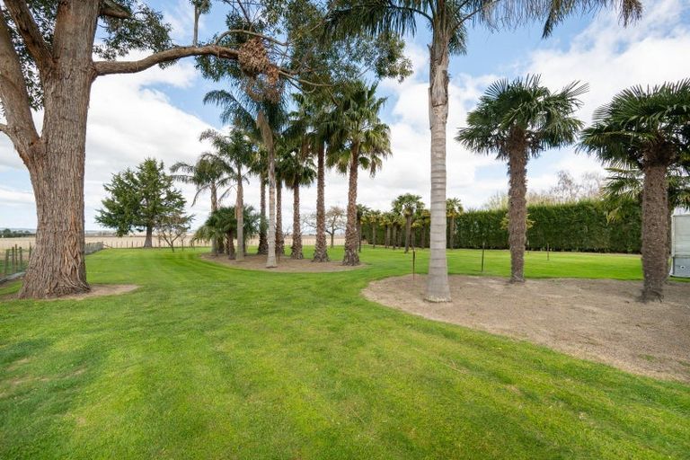 Photo of property in 527 State Highway 2, Whakatu, Hastings, 4180