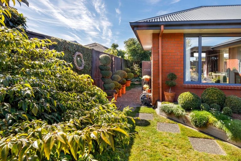 Photo of property in 44 Tremorne Avenue, Blenheim, 7201