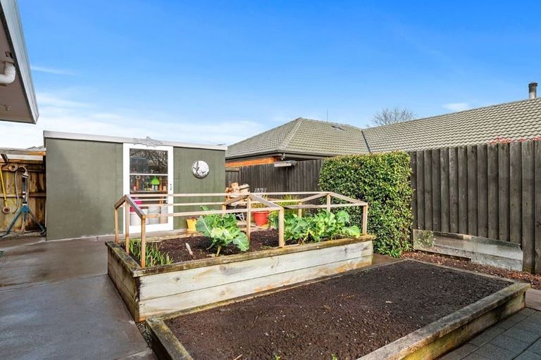 Photo of property in 55 Robert Coup Road, Kaiapoi, 7630
