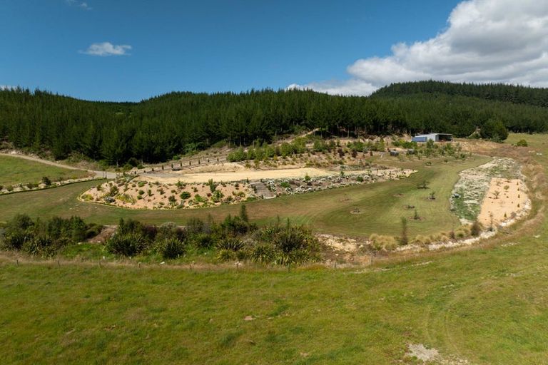 Photo of property in 96 Sunridge Park Road, Morrinsville, 3375